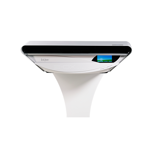 Imagen principal izquierda